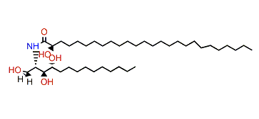 Alomacrorrhiza A